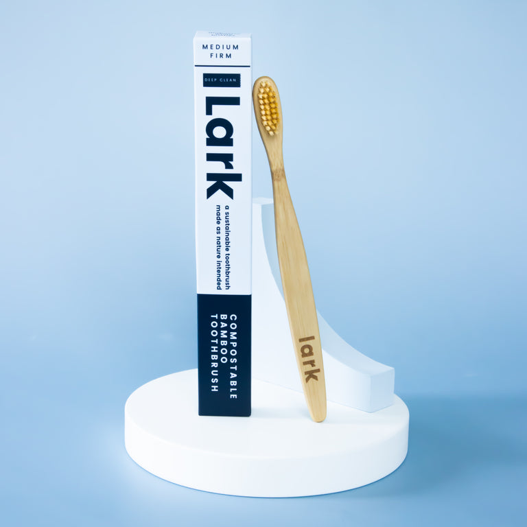 Bamboo Toothbrushes