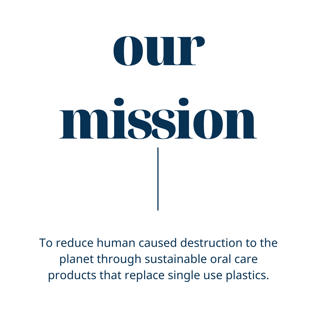 Wheat Straw Travel Case